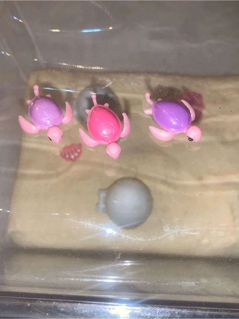 Pets alive mama turtle swimming pets complete set